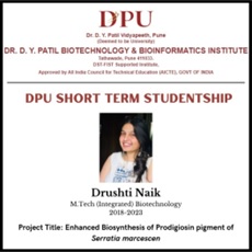 DYPBBI - Internship Program