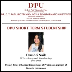 DYPBBI - Internship Program